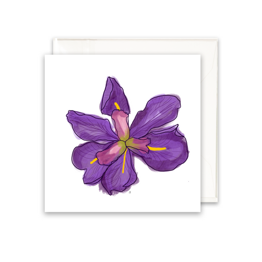 enclosure card with a purple iris 